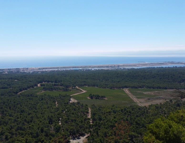 Etang de Gruissan